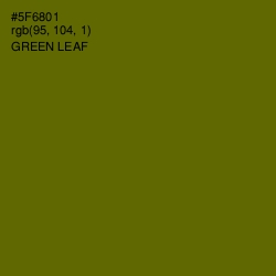 #5F6801 - Green Leaf Color Image