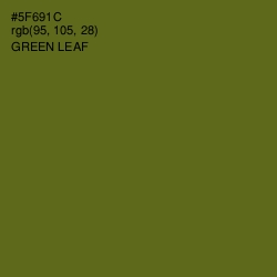 #5F691C - Green Leaf Color Image