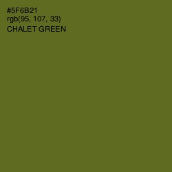 #5F6B21 - Chalet Green Color Image