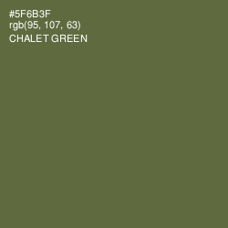 #5F6B3F - Chalet Green Color Image