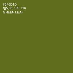 #5F6D1D - Green Leaf Color Image