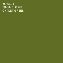 #5F6E24 - Chalet Green Color Image
