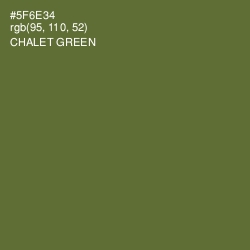 #5F6E34 - Chalet Green Color Image