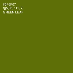 #5F6F07 - Green Leaf Color Image