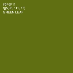 #5F6F11 - Green Leaf Color Image