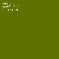#5F7101 - Green Leaf Color Image