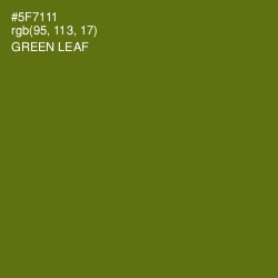 #5F7111 - Green Leaf Color Image