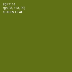 #5F7114 - Green Leaf Color Image