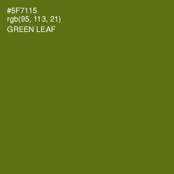 #5F7115 - Green Leaf Color Image