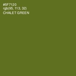 #5F7120 - Chalet Green Color Image