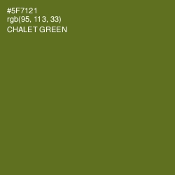 #5F7121 - Chalet Green Color Image
