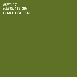#5F7127 - Chalet Green Color Image