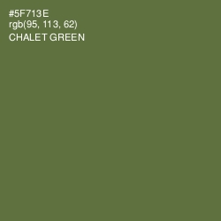 #5F713E - Chalet Green Color Image
