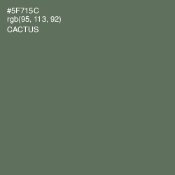 #5F715C - Cactus Color Image