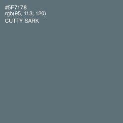 #5F7178 - Cutty Sark Color Image