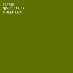 #5F7201 - Green Leaf Color Image