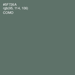 #5F726A - Como Color Image