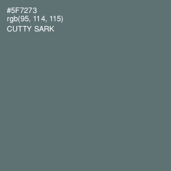 #5F7273 - Cutty Sark Color Image