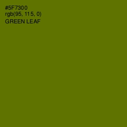 #5F7300 - Green Leaf Color Image