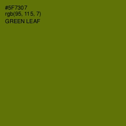 #5F7307 - Green Leaf Color Image