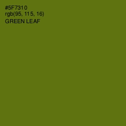 #5F7310 - Green Leaf Color Image