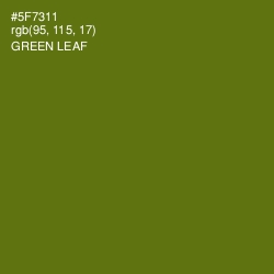 #5F7311 - Green Leaf Color Image