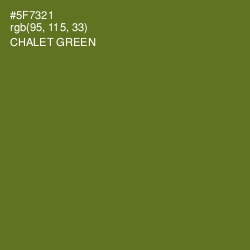 #5F7321 - Chalet Green Color Image