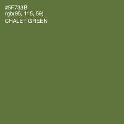 #5F733B - Chalet Green Color Image