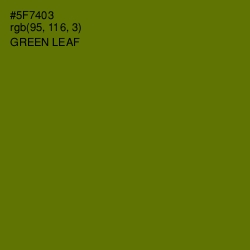 #5F7403 - Green Leaf Color Image