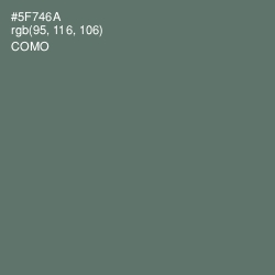 #5F746A - Como Color Image