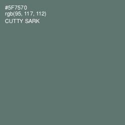 #5F7570 - Cutty Sark Color Image