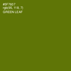 #5F7607 - Green Leaf Color Image