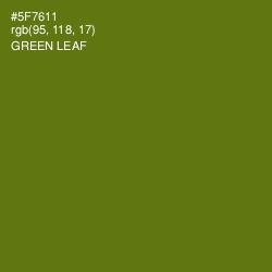 #5F7611 - Green Leaf Color Image