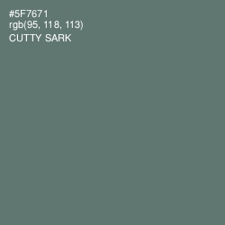 #5F7671 - Cutty Sark Color Image