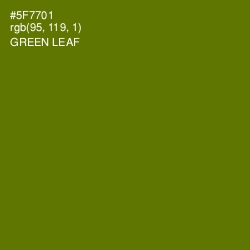 #5F7701 - Green Leaf Color Image