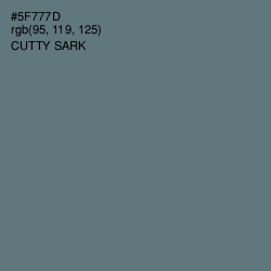 #5F777D - Cutty Sark Color Image