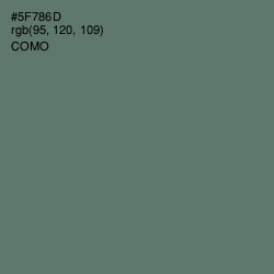 #5F786D - Como Color Image