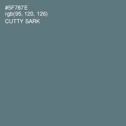 #5F787E - Cutty Sark Color Image