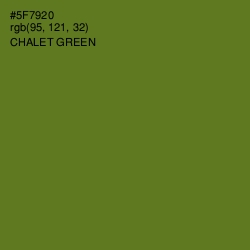 #5F7920 - Chalet Green Color Image