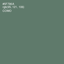 #5F796A - Como Color Image