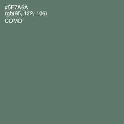 #5F7A6A - Como Color Image