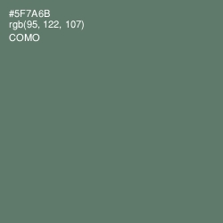 #5F7A6B - Como Color Image