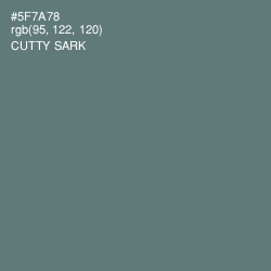 #5F7A78 - Cutty Sark Color Image
