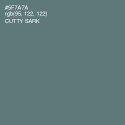 #5F7A7A - Cutty Sark Color Image