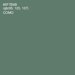 #5F7B6B - Como Color Image