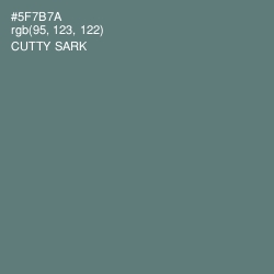 #5F7B7A - Cutty Sark Color Image