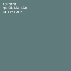 #5F7B7B - Cutty Sark Color Image