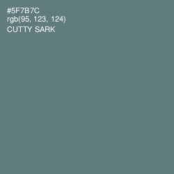 #5F7B7C - Cutty Sark Color Image
