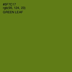 #5F7C17 - Green Leaf Color Image