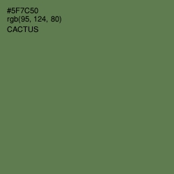 #5F7C50 - Cactus Color Image